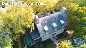 are realtors hiring drone pilots? house under canopy of trees